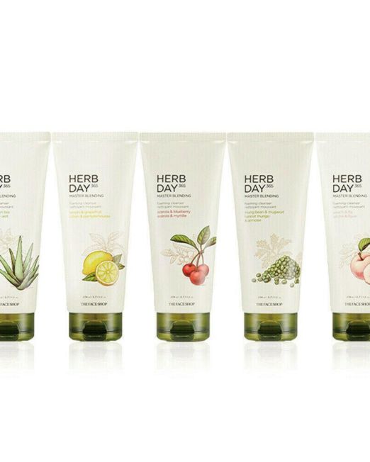 The Face Shop HERB DAY 365 Master Blending Foaming Cleanser 170ml