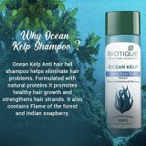 Biotique Ocean Kelp Anti hair Fall Shampoo for Hair Growth Therapy