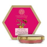 Forest Essentials Luscious Lip Balm Sugared Rose Petal – With Organic Beeswax For Dry Chapped Lips (4gm)