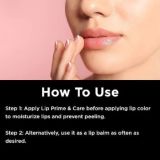 Colorbar Lip Prime & Care (2.5g)