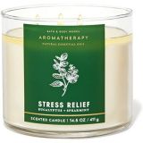 BATH & BODY WORKS AROMATHERAPY EUCALYPTUS + SPEARMINT SCENTED CANDLE 411G