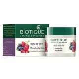 Biotique Bio Berry Plumping Lip Balm Smoothes & Swells Lips (12gm)