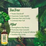 WishCare Tea Tree Mint Shampoo – Anti Dandruff Shampoo (300ml)