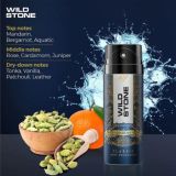 Wild Stone Classic Cologne Deodorant For Men (225ml)