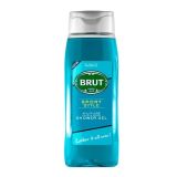 Brut Sport Style All – In- one Hair & Body Shower Gel (500ml)