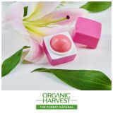 Organic Harvest Lip Balm (10gm)