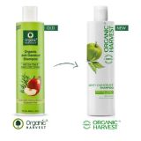 Organic Harvest Organic Anti Dandruff Shampoo with Tea Tree and Apple Cider Vinegar (250ml)